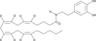 N-Arachidonoyl Dopamine-d8  Chemical Structure