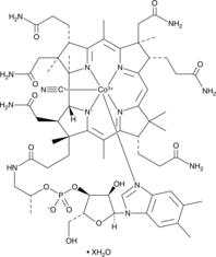 Vitamin B12 (hydrate) 化学構造