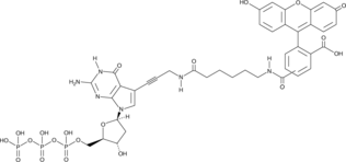 Fluorescein-12-dGTP 化学構造