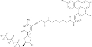 Fluorescein-12-dCTP  Chemical Structure