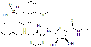 Dansyl-NECA Chemische Struktur