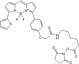 BDY TR-X, SE 化学構造