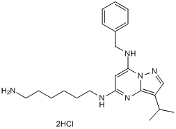 BS 181 dihydrochloride  Chemical Structure