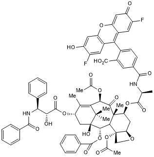 Flutax 2 化学構造