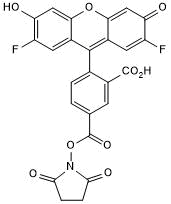 OG 488, SE Chemical Structure