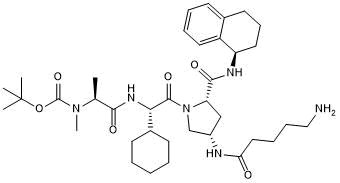 A 410099.1 amide-alkylC4-amine 化学構造