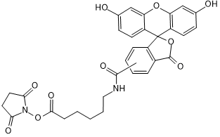 5(6)-SFX (Fluorescein), SE 化学構造
