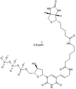 Biotin-11-dUTP 化学構造