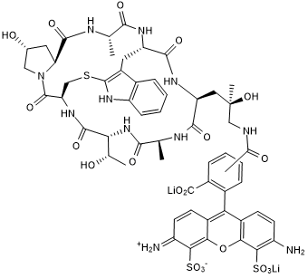 Phalloidin-TFAX 488 化学構造