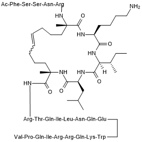 SAH-EZH2 التركيب الكيميائي