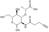Click N-Acetylmuramic acid - alkyne 化学構造