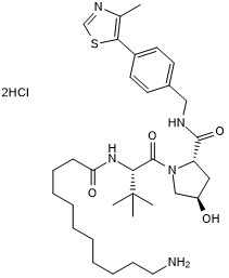 VH 032 amide-alkylC10-amine Chemische Struktur