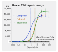 Human Vitamin D Receptor Reporter Assay System Chemische Struktur
