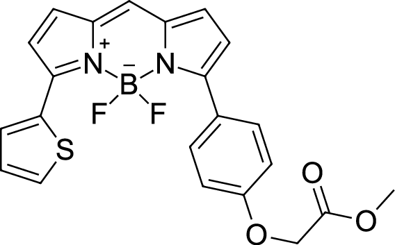 BDP TR methyl ester, 5 mM in DMSO Chemical Structure