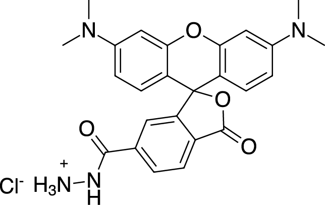 TAMRA hydrazide, 6-isomer Chemische Struktur