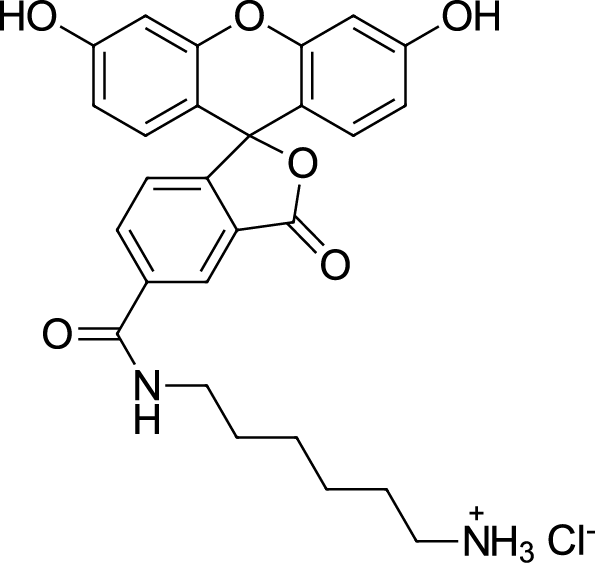 FAM amine, 5-isomer 化学構造