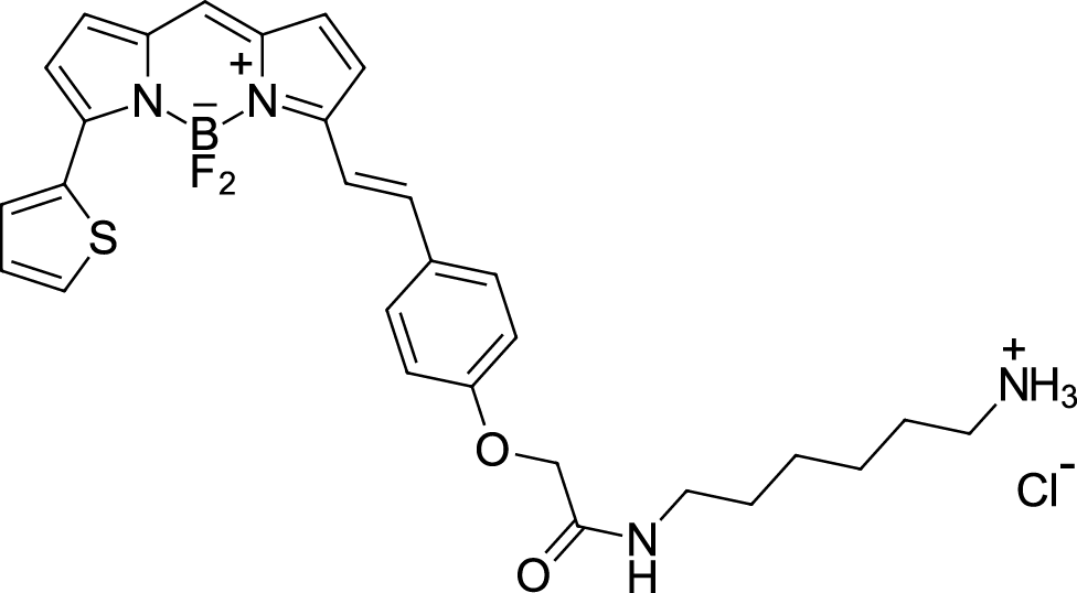 BDP 630/650 amine 化学構造