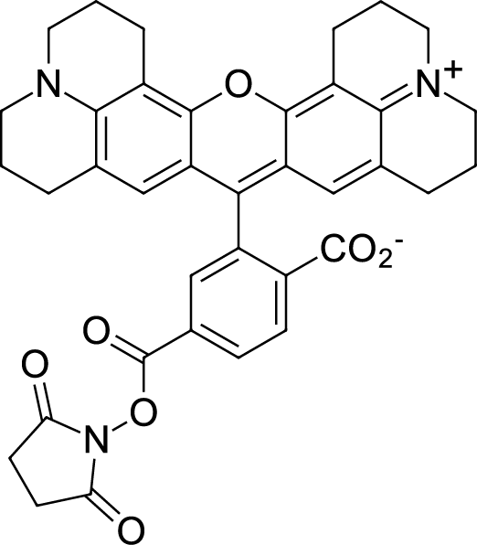ROX NHS ester, 6- isomer Chemische Struktur