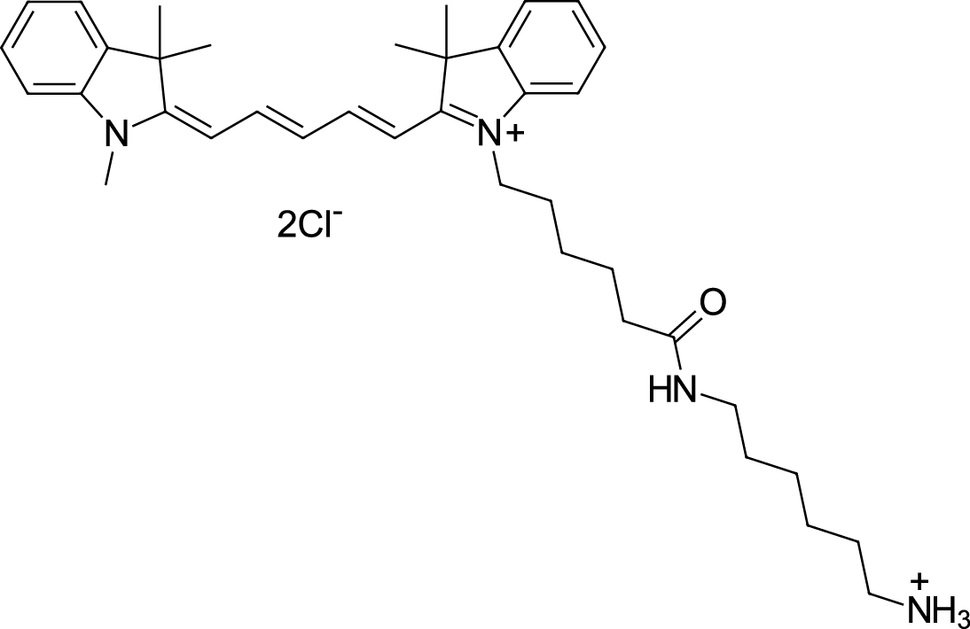 Cyanine5 amine Chemical Structure