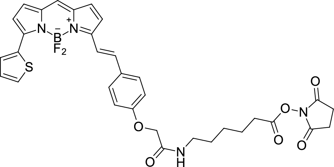 BDP 630/650 X NHS ester 化学構造