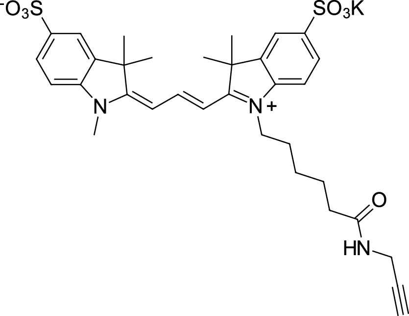Sulfo-Cyanine3 alkyne Chemische Struktur