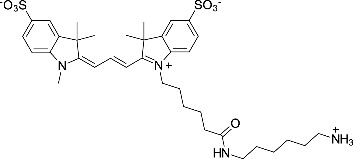 Sulfo-Cyanine3 amine  Chemical Structure