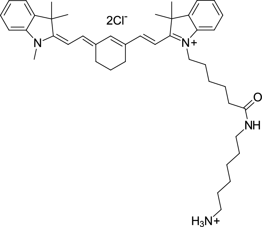 Cyanine7 amine Chemical Structure