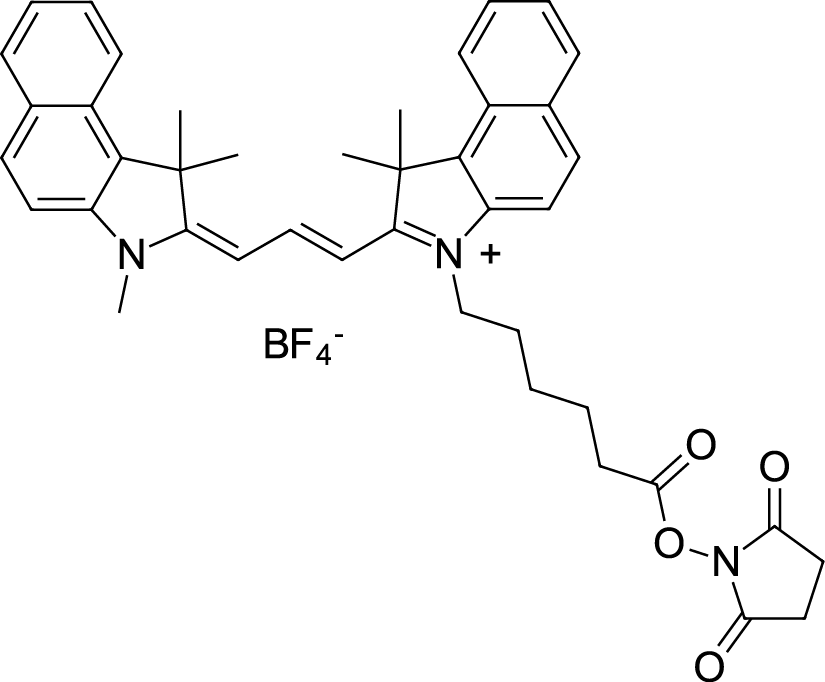 Cyanine3.5 NHS ester 化学構造