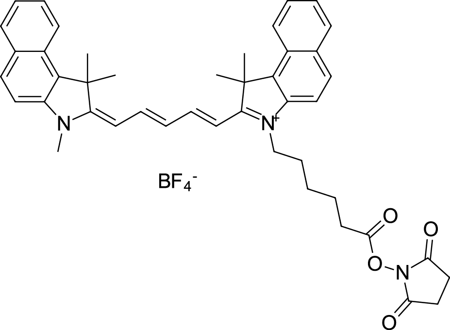 Cyanine5.5 NHS ester التركيب الكيميائي