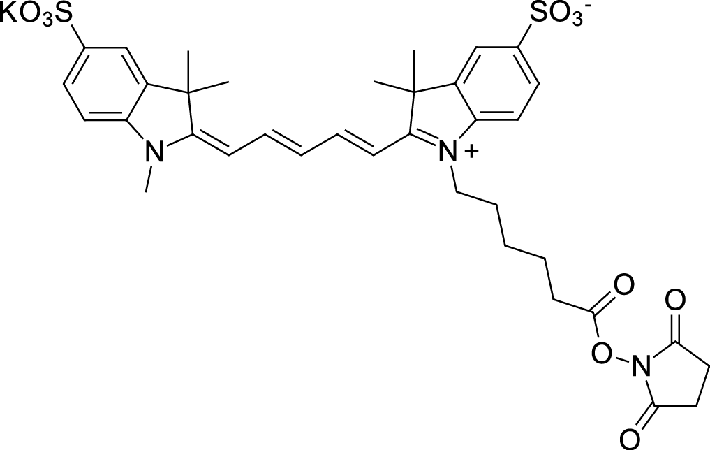 Sulfo-Cyanine5 NHS ester التركيب الكيميائي