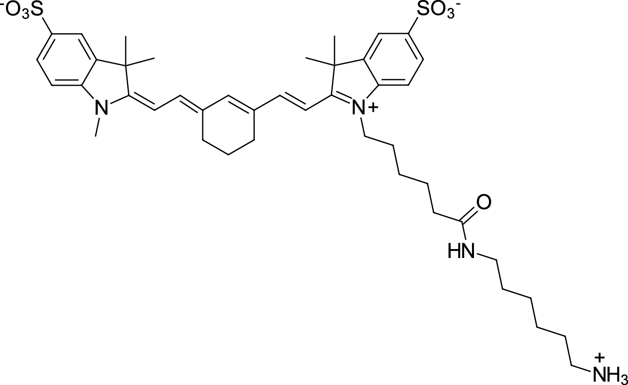 Sulfo-Cyanine7 amine Chemische Struktur