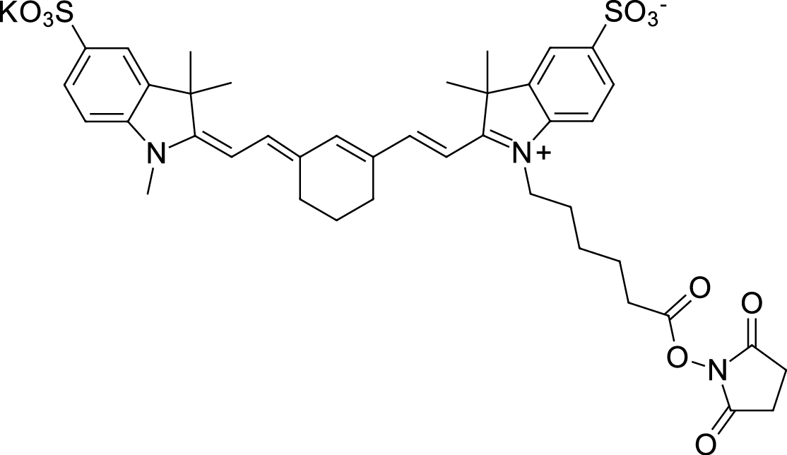Sulfo-Cyanine7 NHS ester التركيب الكيميائي