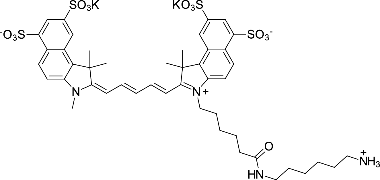 Sulfo-Cyanine5.5 amine التركيب الكيميائي