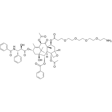7-O-(Amino-PEG4)-paclitaxel 化学構造