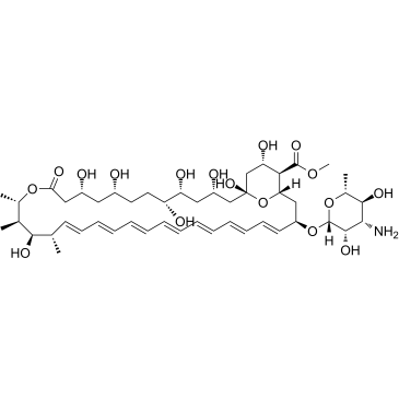 Amphotericin B methyl ester Chemical Structure