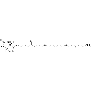 Biotin-PEG4-amine Chemische Struktur