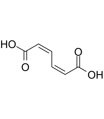 cis,cis-Muconic acid Chemische Struktur