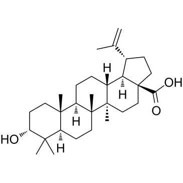Epibetulinic acid  Chemical Structure