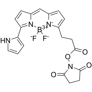 Py-BODIPY-NHS ester Chemische Struktur
