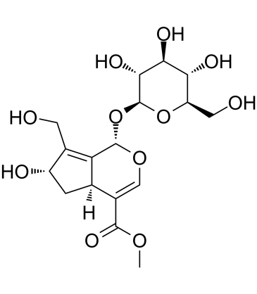 10-Hydroxy majoroside  Chemical Structure