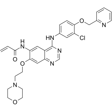 BDTX-189 Chemical Structure