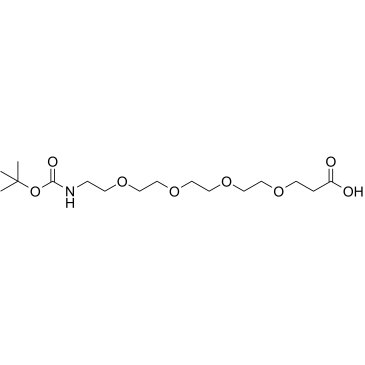 Boc-NH-PEG4-CH2CH2COOH Chemische Struktur