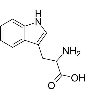 DL-Tryptophan 化学構造