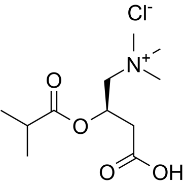 Isobutyryl-L-carnitine chloride 化学構造