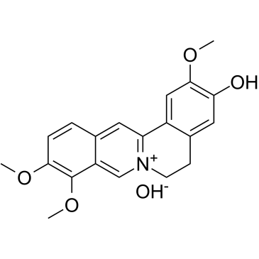Jatrorrhizine hydroxide 化学構造