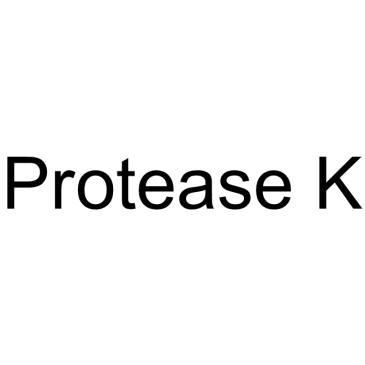 Protease K 化学構造