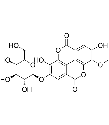 Stachyanthuside A التركيب الكيميائي