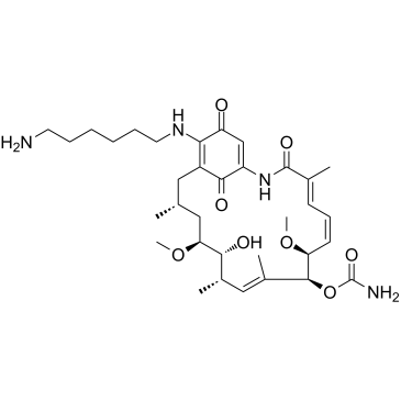 Aminohexylgeldanamycin التركيب الكيميائي