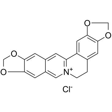 Pseudocoptisine chloride  Chemical Structure