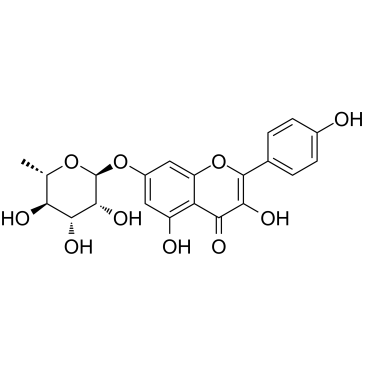 Kaempferol-7-O-rhamnoside Chemische Struktur